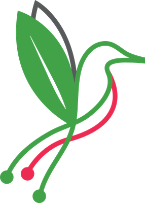 Palestine Diaspora Technology Network